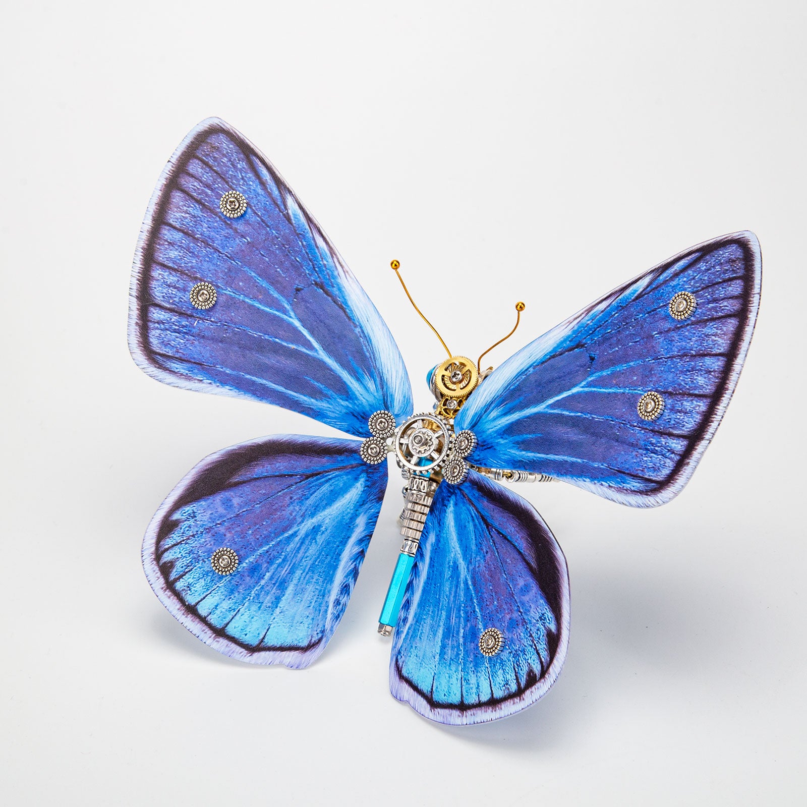 Eco 3D houten puzzel - vlinder van Deluxebase. Dierthema DIY 3D puzzel ambachtelijke kit. Duurzaam hout insectenspeelgoed. Perfecte modelbouwsets voor educatief speelgoed en kinderfeestgeschenken Eco 3D houten puzzel - vlinder van Deluxebase. Dierthema DIY 3D puzzel ambachtelijke kit. Duurzaam hout insectenspeelgoed. Perfecte modelbouwsets voor educatief speelgoed en kinderfeestgeschenken